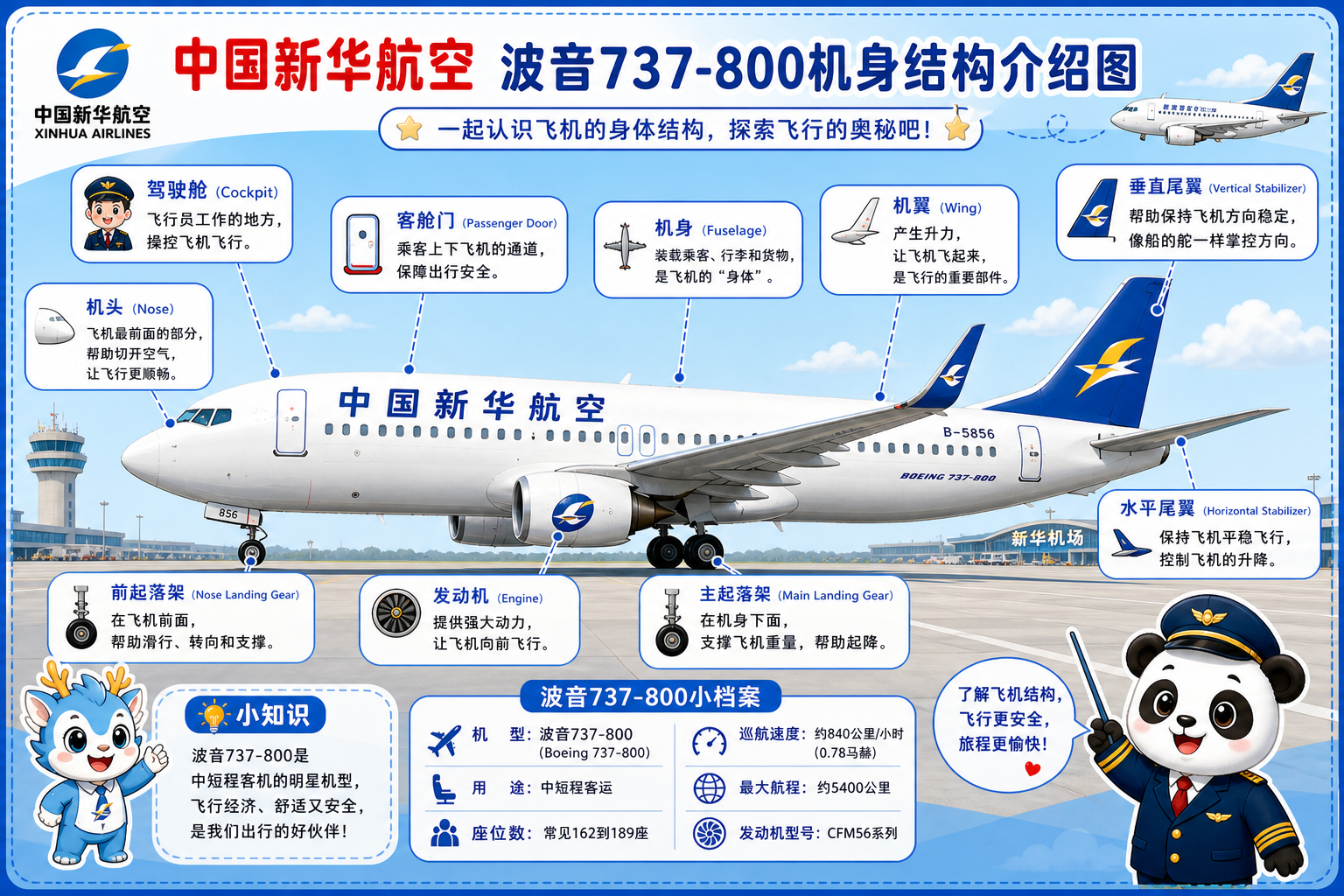 中国新华航空 机身结构介绍图